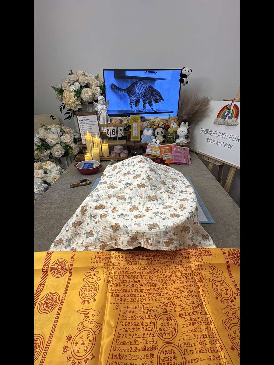 扬州宠物单独火化
